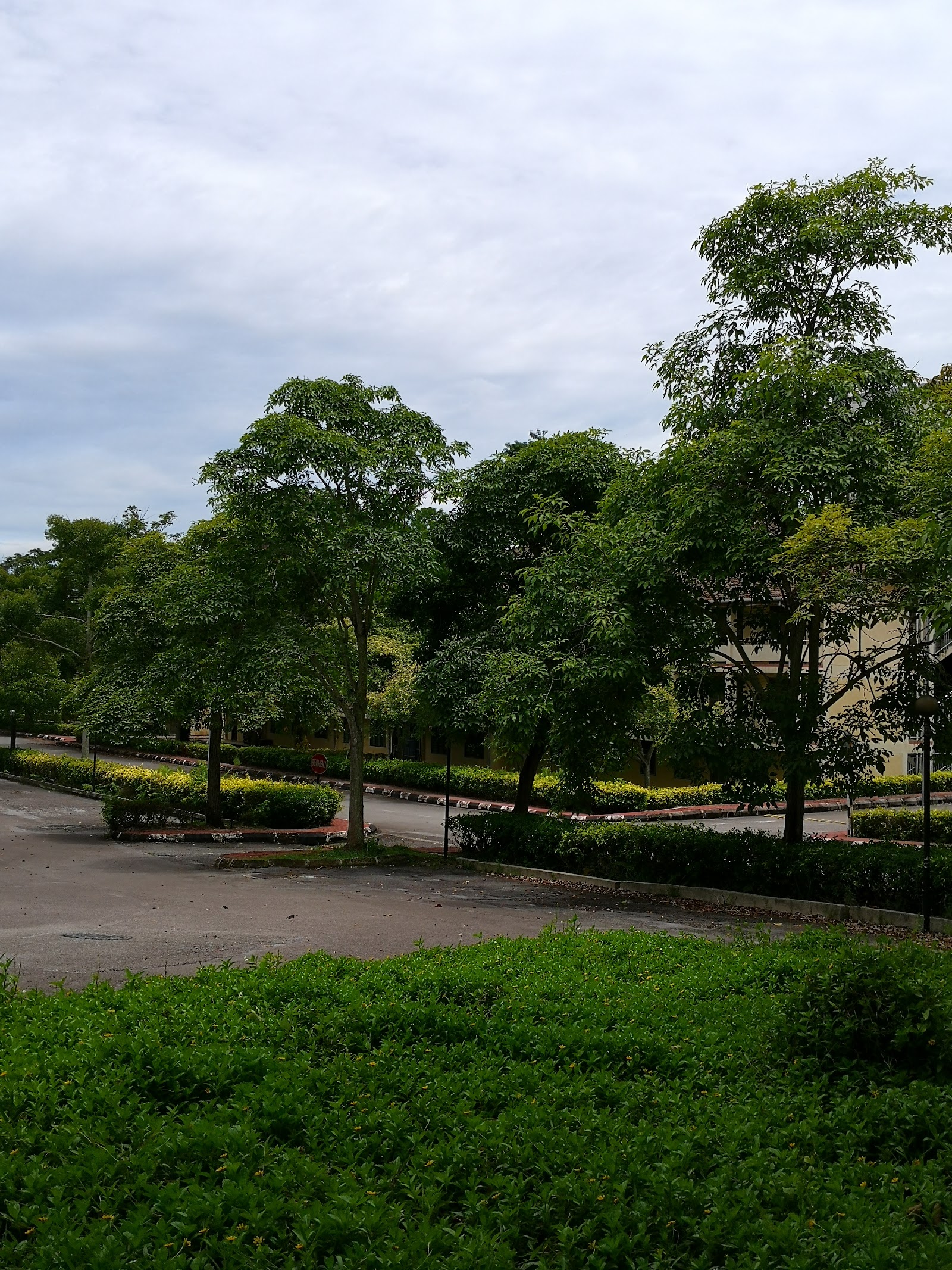 Campus thumbnail 4